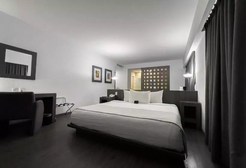 سوئیت مستر, We Hotel Aeropuerto