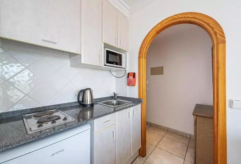 آپارتمان 1 خوابه با تراس, Apartamentos Es Cañe
