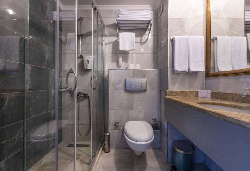 스탠다드 싱글 룸, Armas Gul Beach