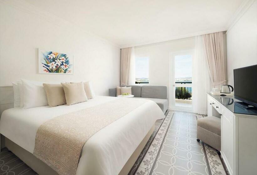 غرفة قياسية, Selectum Colours Bodrum