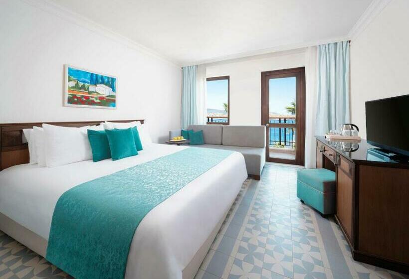 Номер Стандарт Вид на Море, Selectum Colours Bodrum