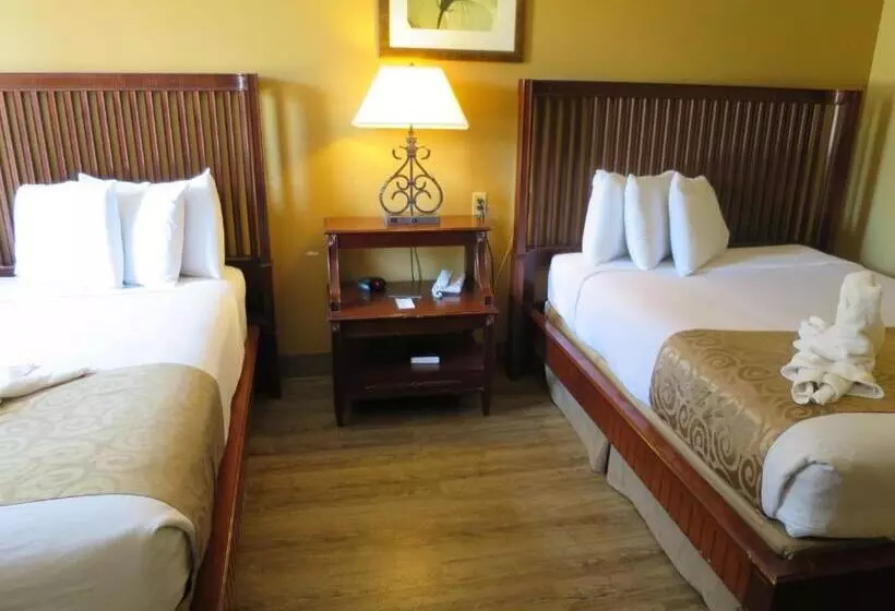 Quarto Estandar, Floridian Express International Drive