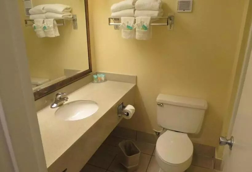 Quarto Estandar Cama King, Floridian Express International Drive