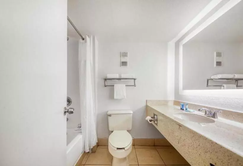 Quarto Estandar Cama King para Deficientes Físicos, Floridian Express International Drive