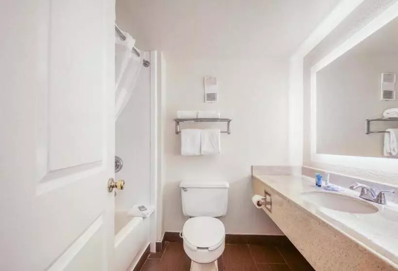 Quarto Estandar Cama King para Deficientes Físicos, Floridian Express International Drive