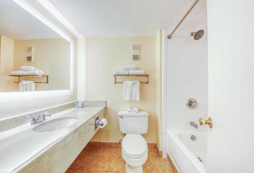 Quarto Estandar Cama King para Deficientes Físicos, Floridian Express International Drive