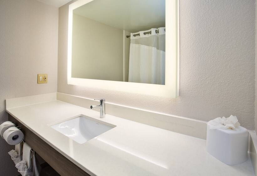 Standard Szoba 2 Franciaággyal, Holiday Inn Express Nashville Airport, An Ihg