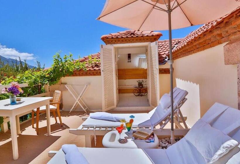 סוויטה עם טרסה, Oyster Residences   Adult Only