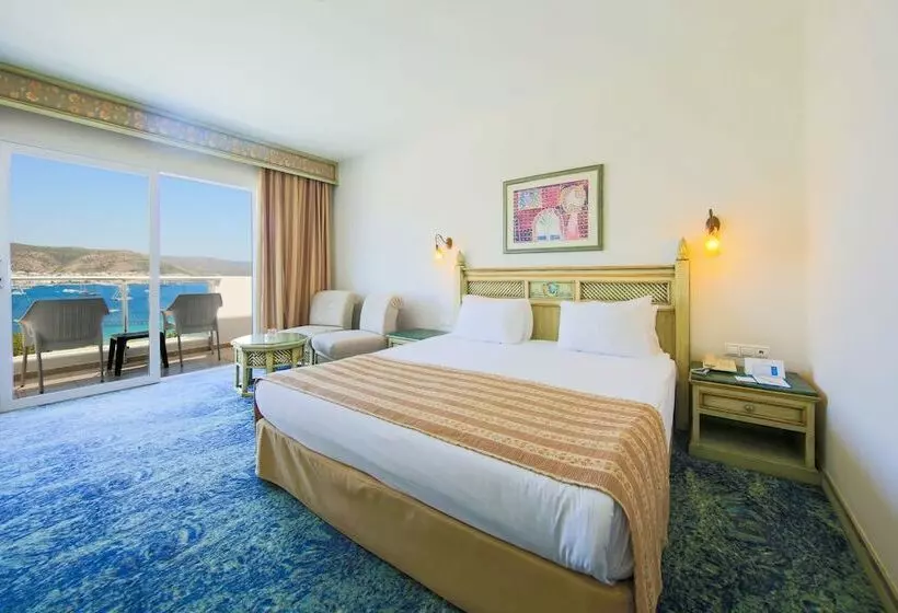 オーシャンビュースタンダードルーム, Salmakis Resort & Spa