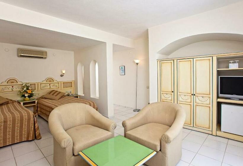 Номер Стандарт Вид на Сад, Salmakis Resort & Spa