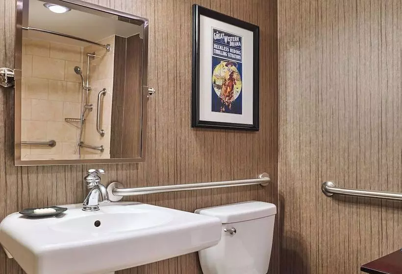 ２ダブルベッドのスタンダードルーム, Sheraton North Houston At George Bush Intercontinental