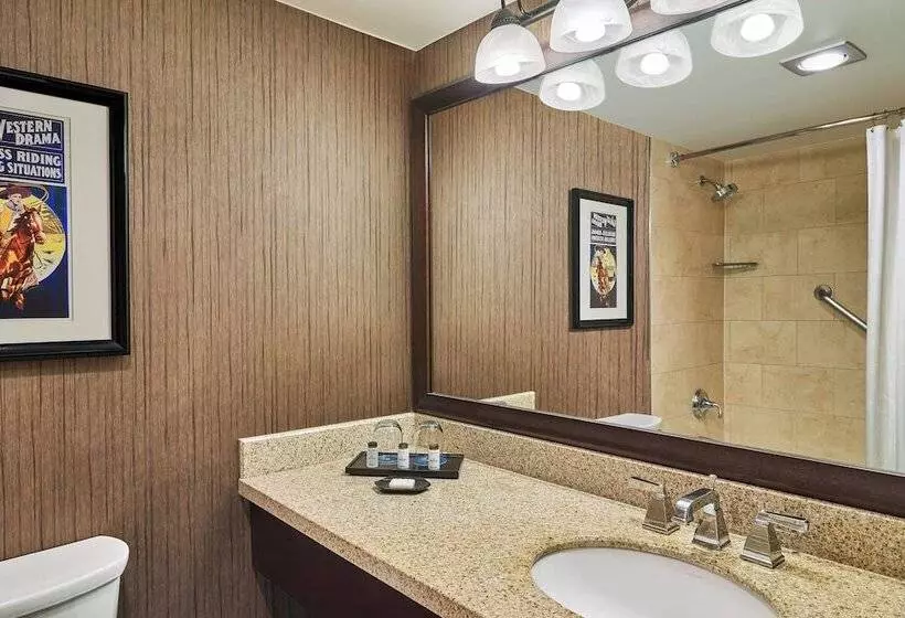 ２ダブルベッドのスタンダードルーム, Sheraton North Houston At George Bush Intercontinental