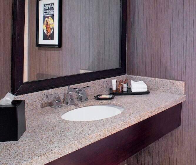 스탠다드 룸 더블 침대 2개, Sheraton North Houston At George Bush Intercontinental