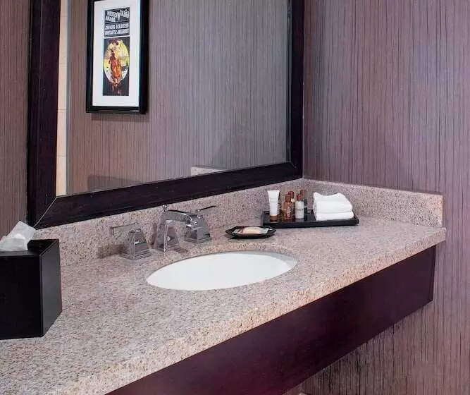 ２ダブルベッドのスタンダードルーム, Sheraton North Houston At George Bush Intercontinental