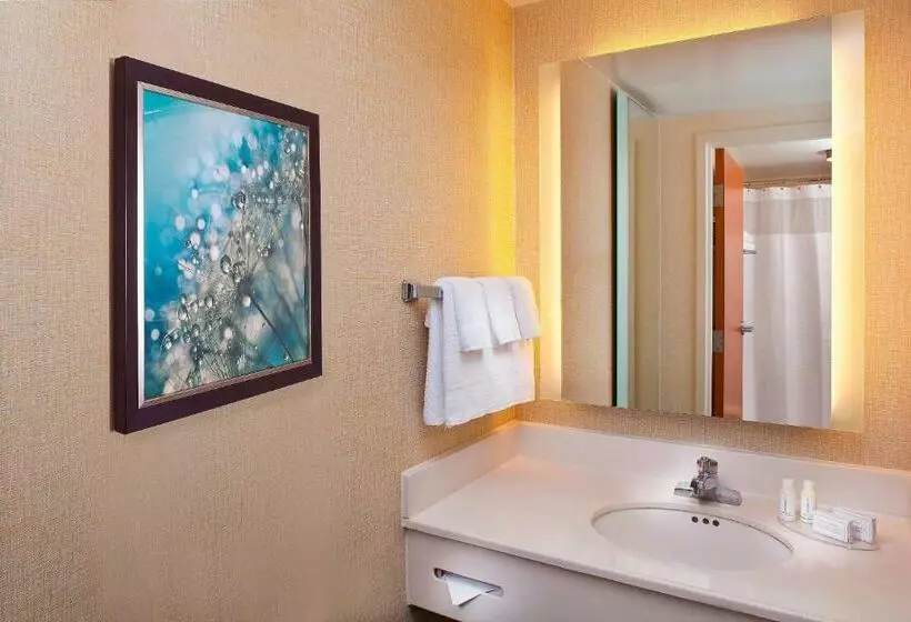 キングサイドベッドのスタンダードワンルーム, Springhill Suites By Marriott Orlando Lake Buena Vista In Marriott Village