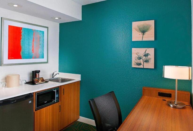 استودیو استاندارد با تخت کینگ, Springhill Suites By Marriott Orlando Lake Buena Vista In Marriott Village