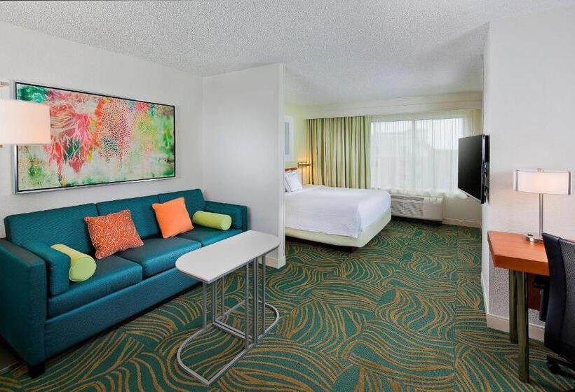 Студио Стандарт Кровать Кинг, Springhill Suites By Marriott Orlando Lake Buena Vista In Marriott Village