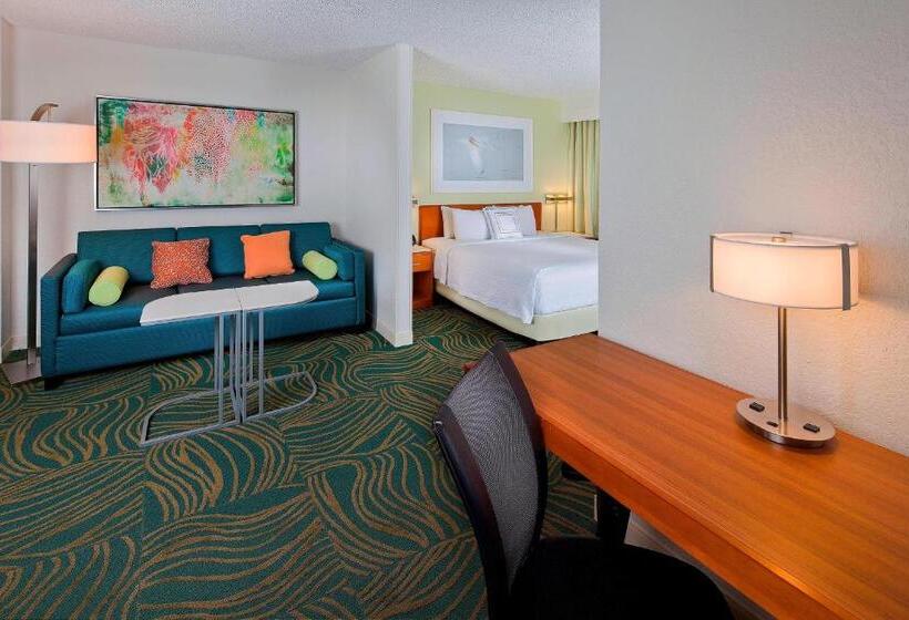 Студио Стандарт Кровать Кинг, Springhill Suites By Marriott Orlando Lake Buena Vista In Marriott Village