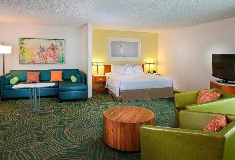 スタンダードルーム, Springhill Suites By Marriott Orlando Lake Buena Vista In Marriott Village