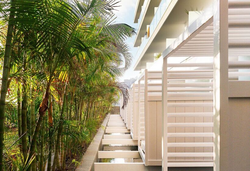 テラス付スイート, Marina Suites Gran Canaria