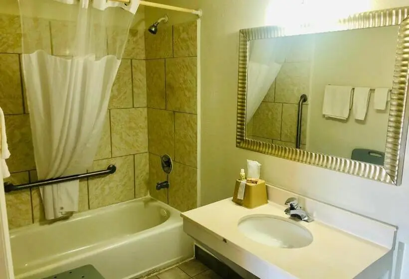 Standard-invahuone, Royal Inn Richmond Hill Savannah I95