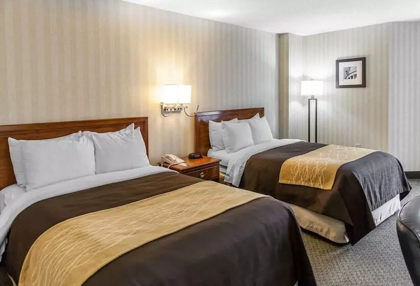 اتاق استاندارد با 2 تخت دوبل, Comfort Inn Pentagon City