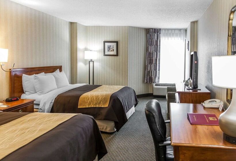اتاق استاندارد با 2 تخت دوبل, Comfort Inn Pentagon City