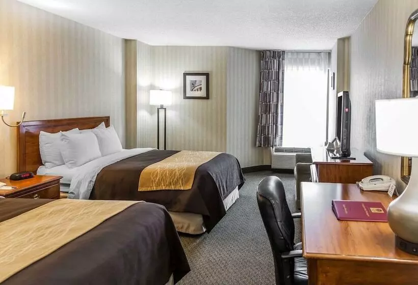 اتاق استاندارد با 2 تخت دوبل, Comfort Inn Pentagon City