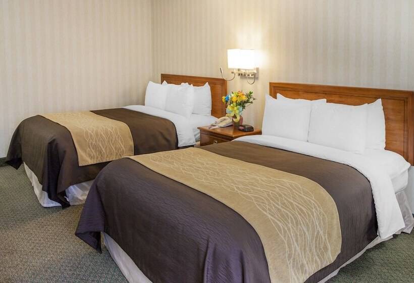 اتاق استاندارد با 2 تخت دوبل, Comfort Inn Pentagon City