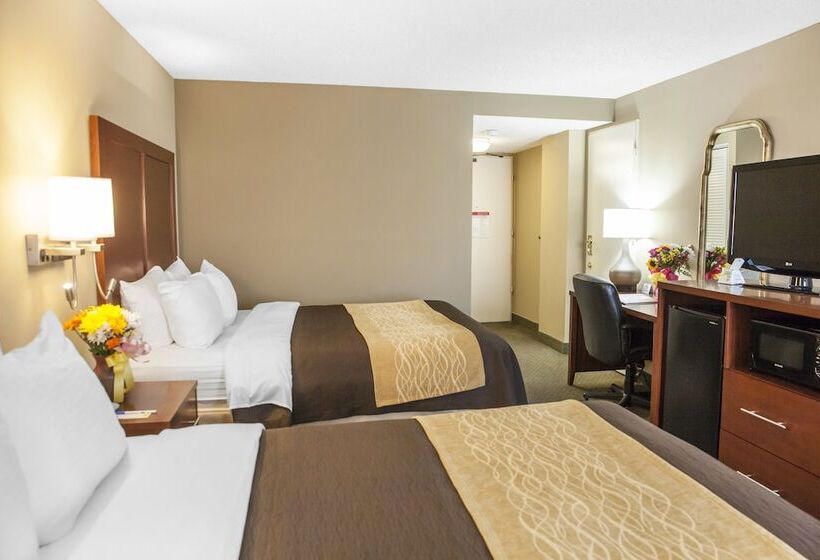 اتاق استاندارد با 2 تخت دوبل, Comfort Inn Pentagon City