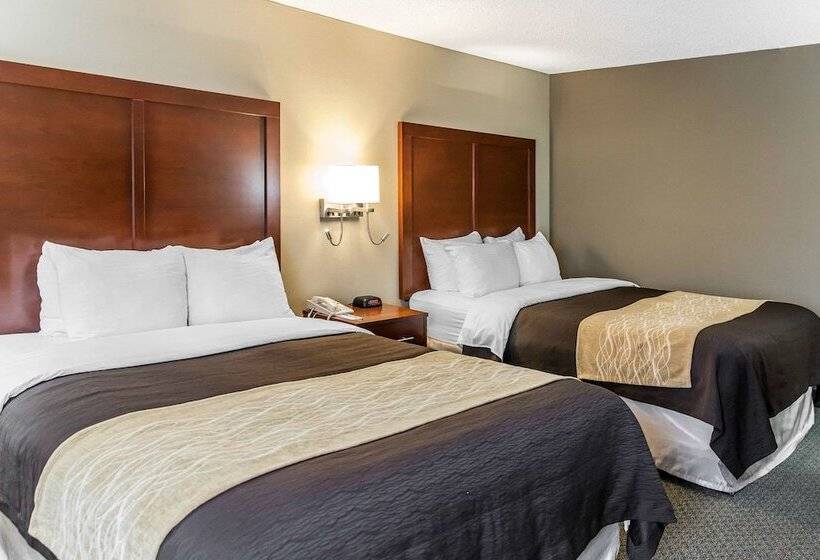 اتاق استاندارد با 2 تخت دوبل, Comfort Inn Pentagon City