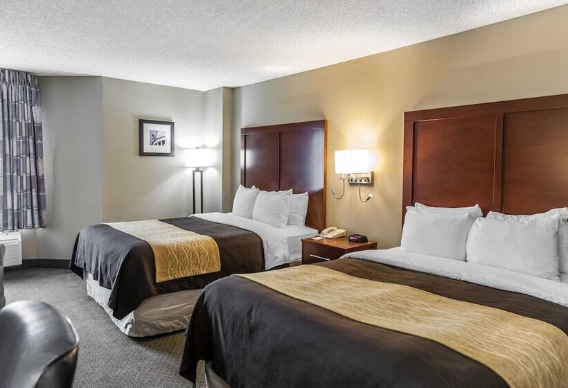 اتاق استاندارد با 2 تخت دوبل, Comfort Inn Pentagon City