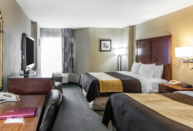 اتاق استاندارد با 2 تخت دوبل, Comfort Inn Pentagon City