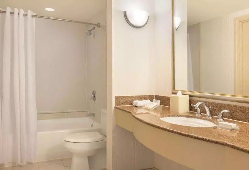 اتاق استاندارد, Hilton Garden Inn Lax  El Segundo