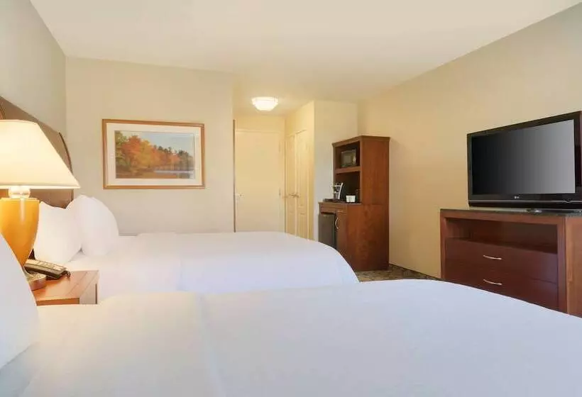 اتاق استاندارد, Hilton Garden Inn Lax  El Segundo