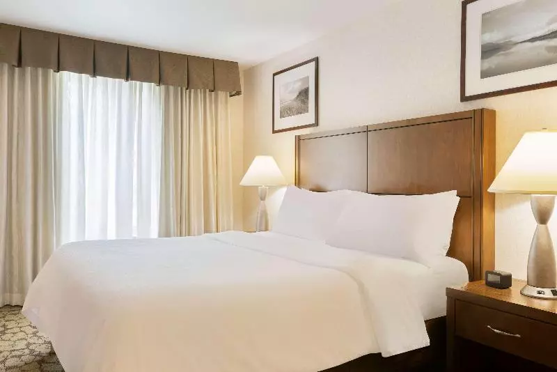 سوئیت با تخت بزرگ, Hilton Garden Inn Lax  El Segundo