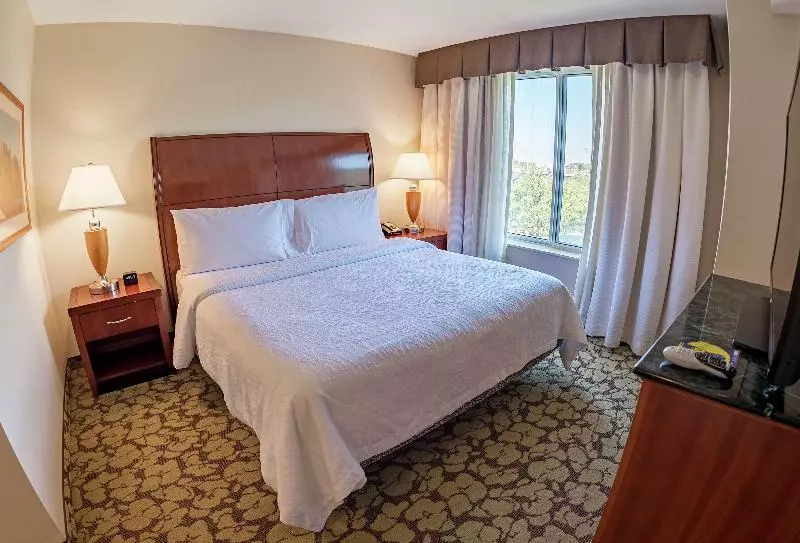 سوئیت با تخت بزرگ, Hilton Garden Inn Lax  El Segundo