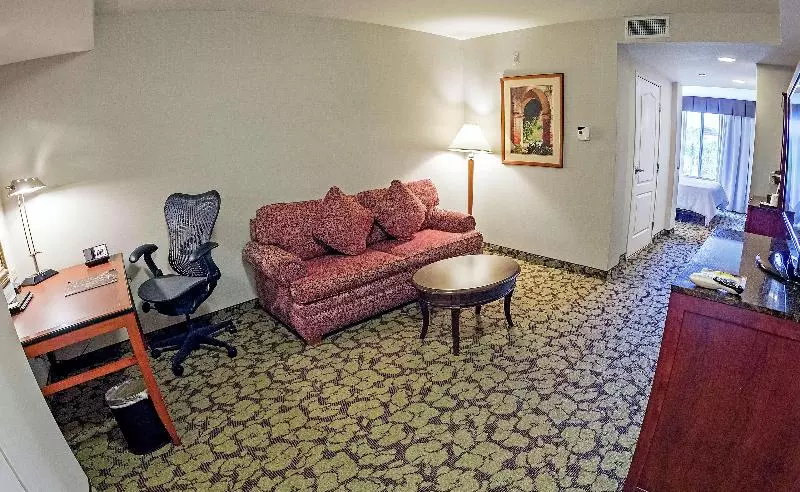 سوئیت با تخت بزرگ, Hilton Garden Inn Lax  El Segundo