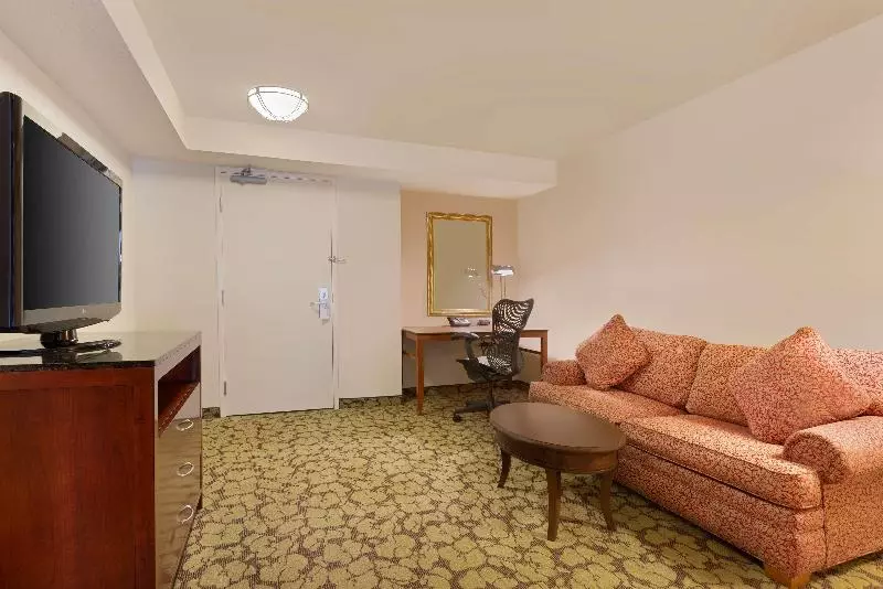 سوئیت با تخت بزرگ, Hilton Garden Inn Lax  El Segundo