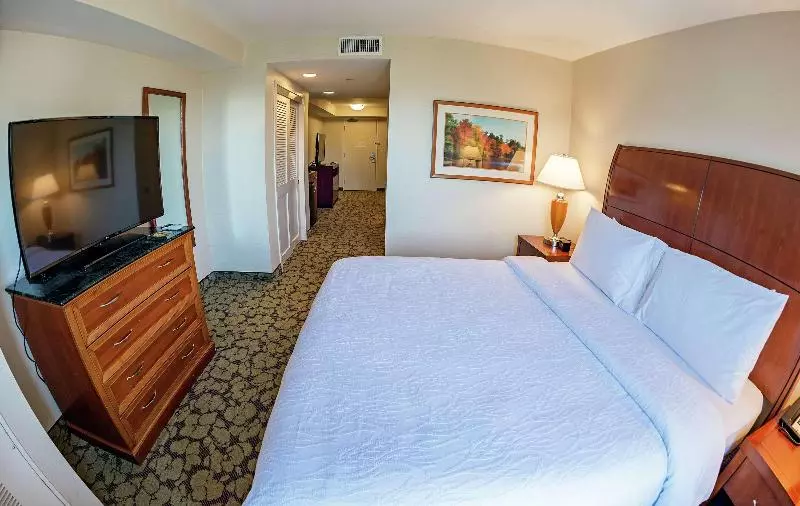 سوئیت با تخت بزرگ, Hilton Garden Inn Lax  El Segundo