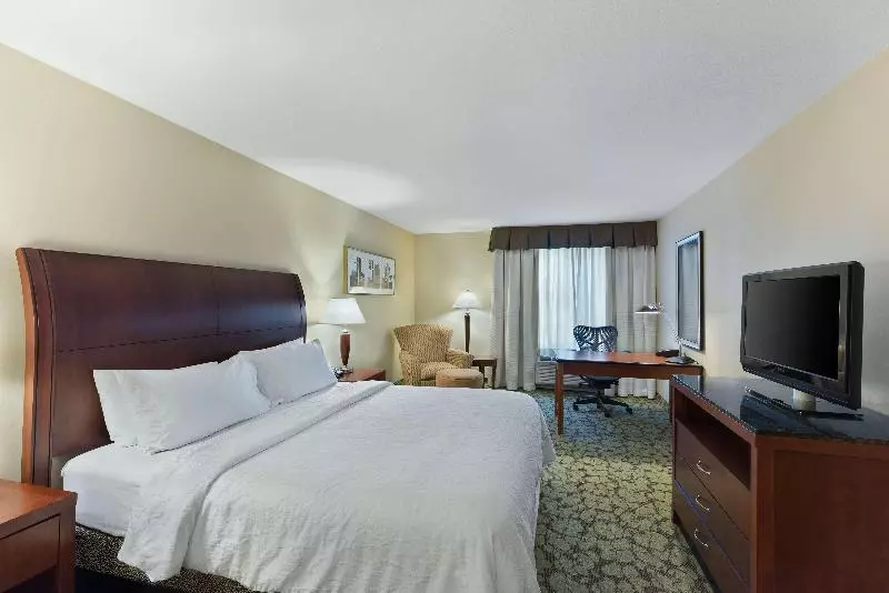 اتاق استاندارد با تخت بزرگ, Hilton Garden Inn Lax  El Segundo