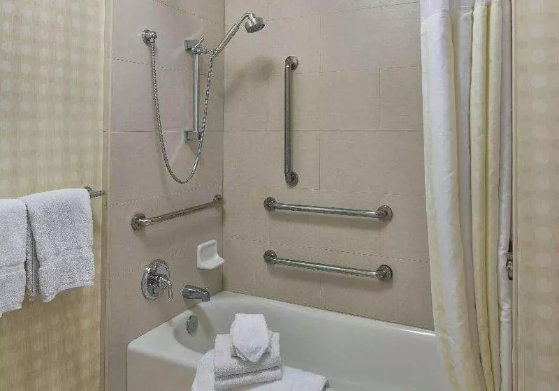 اتاق استاندارد با تخت بزرگ, Hilton Garden Inn Lax  El Segundo
