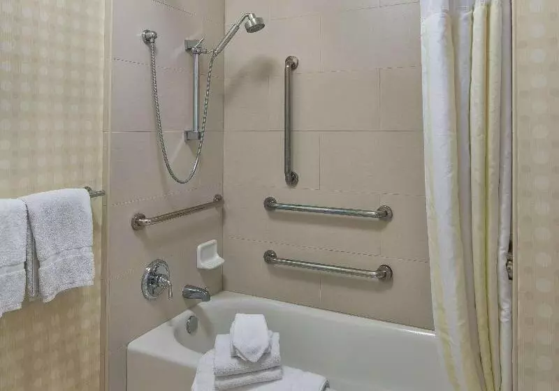 اتاق استاندارد با تخت بزرگ, Hilton Garden Inn Lax  El Segundo