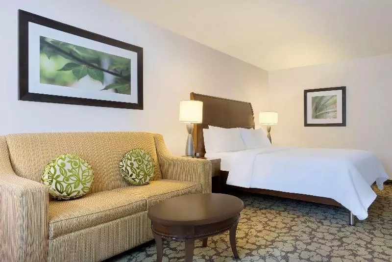 اتاق استاندارد با تخت بزرگ, Hilton Garden Inn Lax  El Segundo
