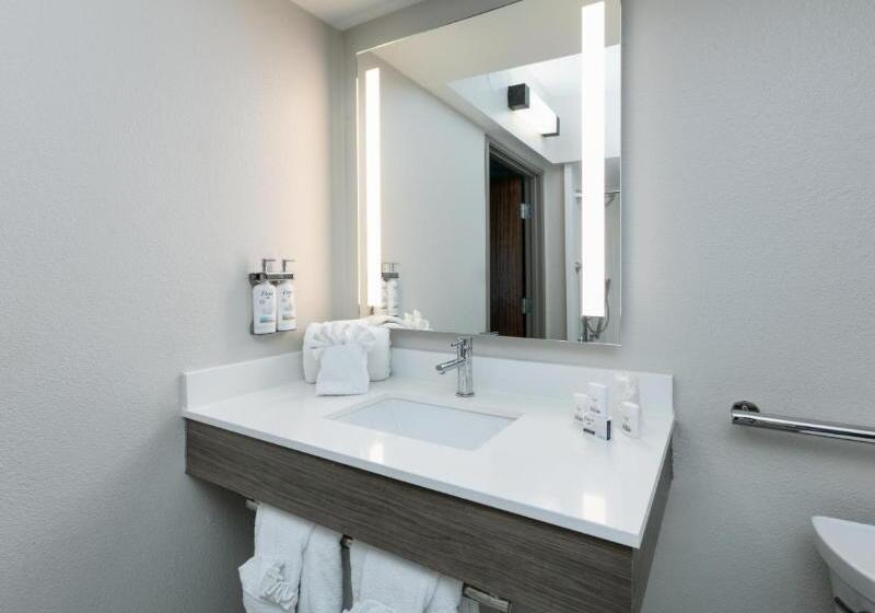 Номер Стандарт, Holiday Inn Express & Suites   Dallas Park Central Northeast, An Ihg