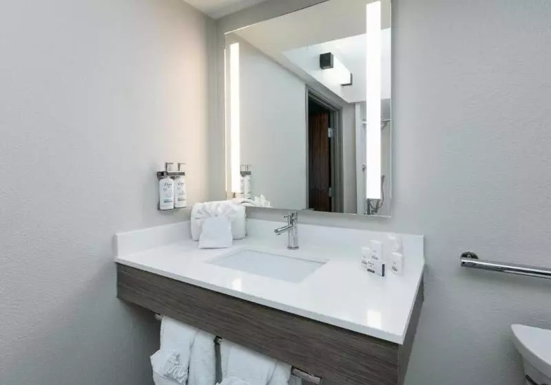 スタンダードルーム, Holiday Inn Express & Suites   Dallas Park Central Northeast, An Ihg