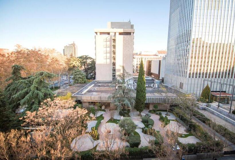 اتاق استاندارد با تراس, Petit Palace President Castellana