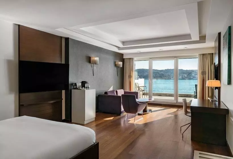 景色の見えるスイートルーム, Radisson Blu Bosphorus