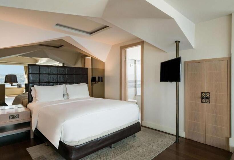 سوئیت با چشمانداز, Radisson Blu Bosphorus