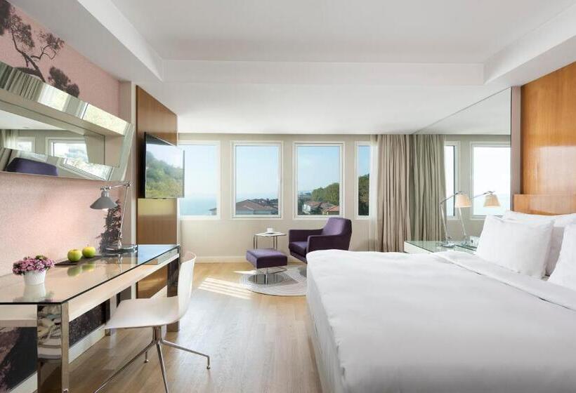 Premium Room Side Sea View, Radisson Blu Bosphorus